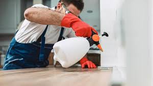 Real Estate Pest Inspections in Forest Hills, PA